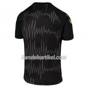 Everton Ausweich Trikotsatz 2020/21